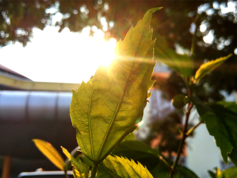 朝のスキンケア